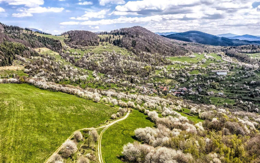 Brdárka (SK)